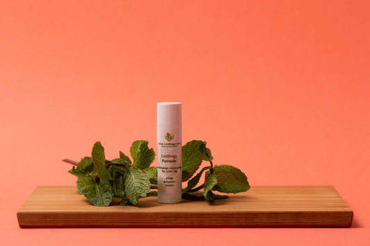 Lieblings Pomade - handgemachte Lippenpflege (6ml) - Mein - Lieblings - Shop